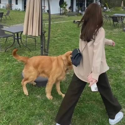 异族恩仇